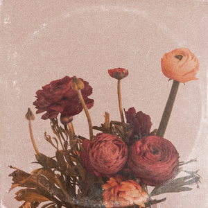 无码精品人妻一区二区三区影院
